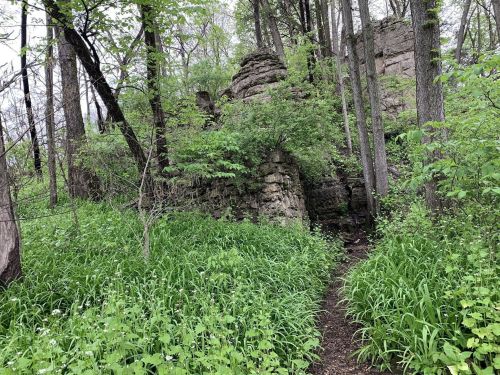 Overgrown ruins surrounded by lush greenery and trees, with a narrow path leading through the dense vegetation.