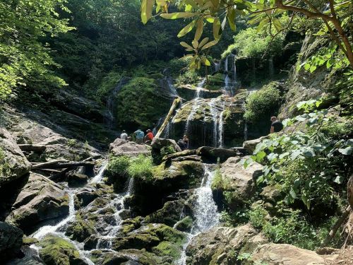 A serene waterfall cascades over rocks, surrounded by lush greenery and people enjoying the natural scenery.