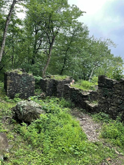 Ruins of a stone structure surrounded by lush greenery and trees, with a person sitting among the remnants.