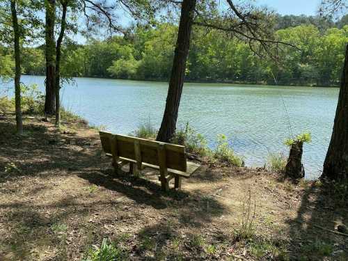 A wooden bench by a calm lake, surrounded by trees and greenery under a clear blue sky.