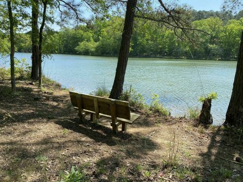 A wooden bench by a calm lake, surrounded by trees and greenery under a clear blue sky.