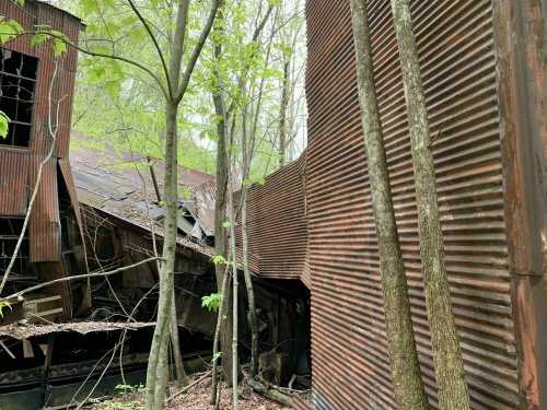 Abandoned building with rusted metal walls, surrounded by trees and overgrown vegetation.