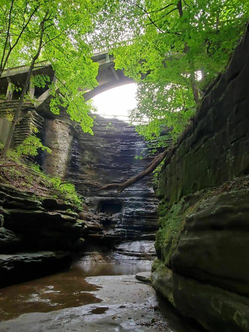 A serene canyon with lush greenery, a small waterfall, and a bridge overhead, surrounded by rocky cliffs.