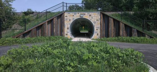 A grassy area leads to a circular tunnel under a path, flanked by wooden walls and a chain-link fence.