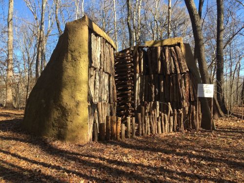 A rustic structure made of wood and mud, surrounded by trees and fallen leaves in a forest setting.