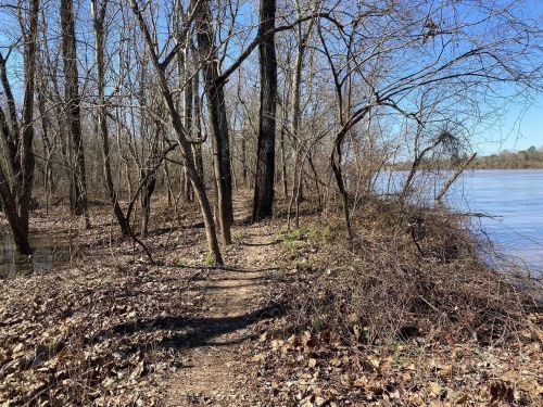 A narrow path lined with bare trees and shrubs, leading to a river under a clear blue sky.