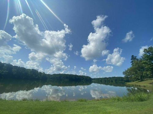 A serene lake reflecting fluffy clouds and blue sky, surrounded by lush greenery under bright sunlight.