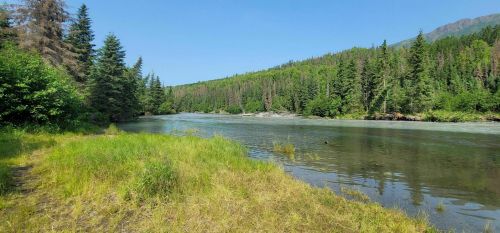 A serene river flows through a lush green landscape, surrounded by trees and mountains under a clear blue sky.