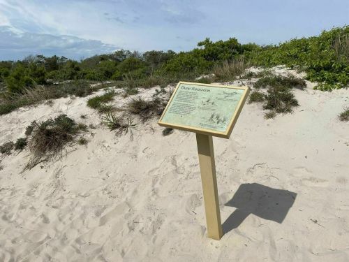 A sandy beach area with a sign on a wooden post, surrounded by greenery and a cloudy sky.