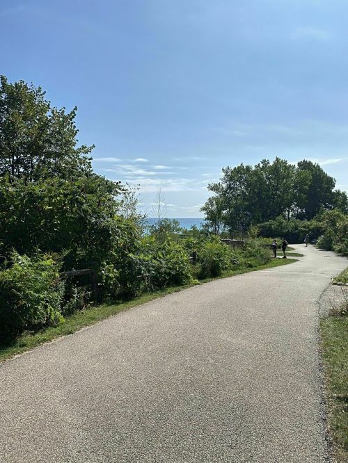 A scenic pathway lined with greenery, leading towards a view of the water under a clear blue sky.