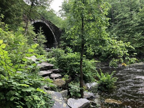 A stone arch bridge surrounded by lush greenery and a calm river, creating a serene natural landscape.