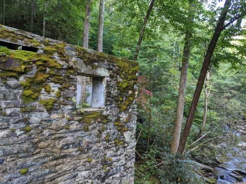 A moss-covered stone wall stands beside a creek, surrounded by lush green trees in a serene forest setting.