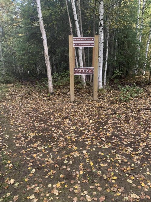 Signpost at a trail intersection surrounded by autumn leaves and trees, indicating the Skyline Ridge Trail and Connector.