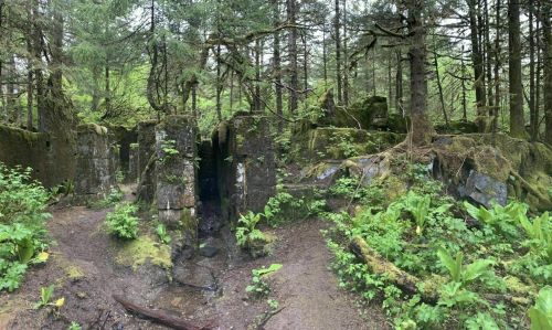 Ruins covered in moss and surrounded by lush greenery in a dense forest.