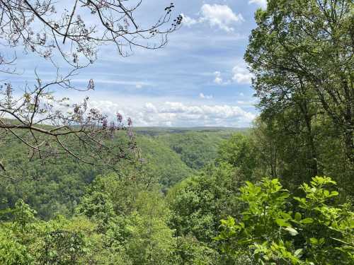 A scenic view of lush green hills under a blue sky with scattered clouds, framed by trees in the foreground.