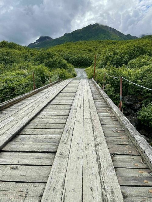 A wooden bridge leads through lush greenery towards a mountain under a cloudy sky.