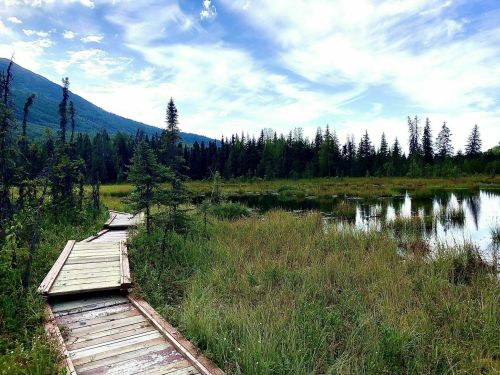 A wooden path leads through tall grass to a serene pond, surrounded by trees and mountains under a blue sky.