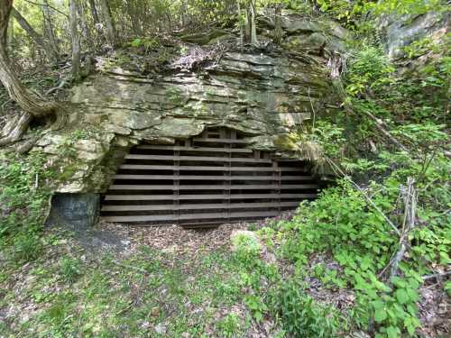 A wooden structure set into a rocky hillside, surrounded by greenery and leaves.