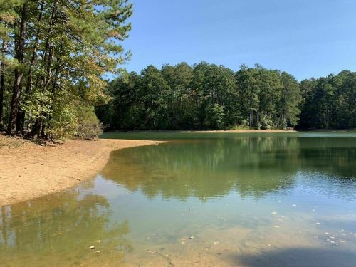 A serene lake surrounded by trees, with a sandy shore and clear blue sky reflecting on the water's surface.