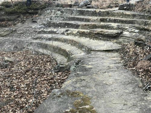 Stone steps carved into a rocky landscape, surrounded by dry leaves and sparse vegetation.