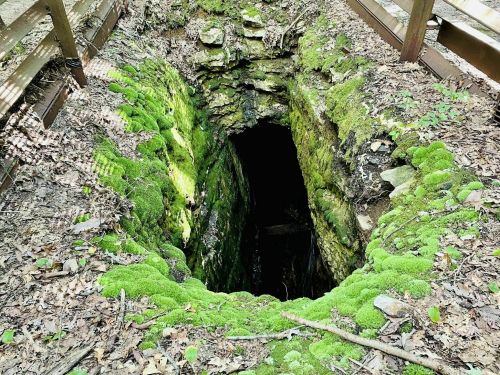 A moss-covered stone opening in the ground, surrounded by leaves and wooden railings, leading into darkness.