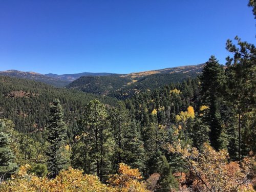 A scenic view of lush green mountains and trees under a clear blue sky, with hints of autumn colors in the foliage.