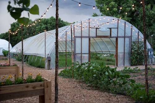 A greenhouse with string lights, surrounded by garden beds and greenery, set against a cloudy sky.