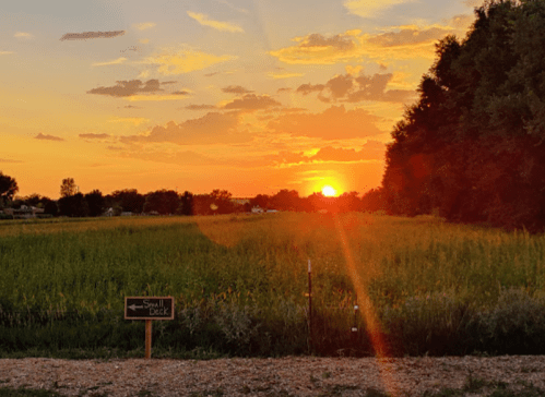 A vibrant sunset over a field, with a sign pointing to a small deck on the left.