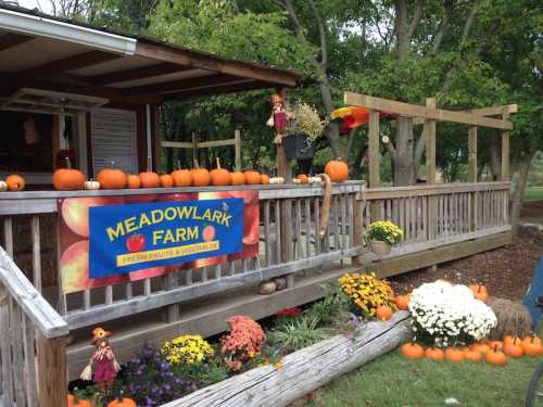 A farm stand with pumpkins, flowers, and a sign reading "Meadowlark Farm" surrounded by greenery.