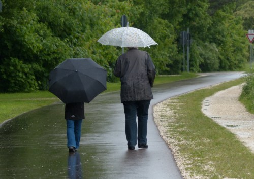 A person and a child walk side by side under umbrellas on a rainy path surrounded by greenery.