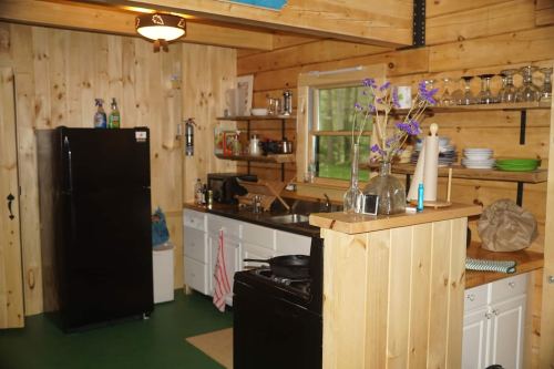 Cozy wooden kitchen with a black fridge, stove, and shelves filled with dishes and glassware. Fresh flowers on the counter.