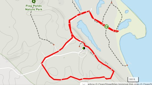 Map of Flag Ponds Nature Park showing a red trail route with surrounding features and water bodies.