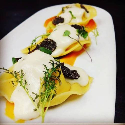 Three elegant pasta parcels topped with creamy sauce, truffle slices, and fresh herbs on a white plate.