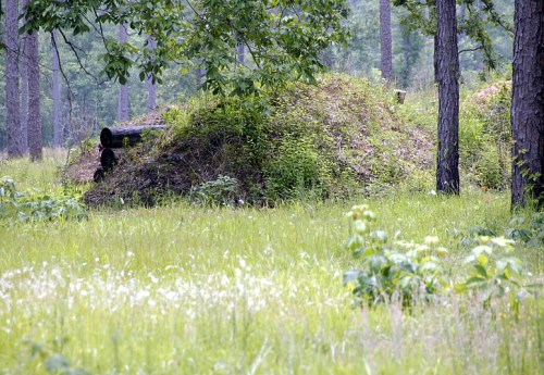 A grassy area in a forest with a mound covered in vegetation and trees in the background.