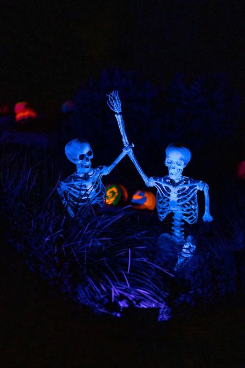 Two glowing skeletons sit in grass, waving, with colorful pumpkins in the background, creating a spooky Halloween scene.