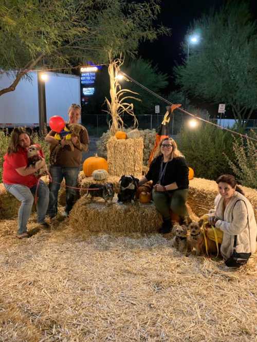 A group of four women and their dogs pose with pumpkins and hay bales in a festive outdoor setting at night.