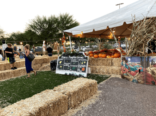 A festive outdoor scene with hay bales, pumpkins, and a sign explaining pumpkin growth, under a tent with lights.