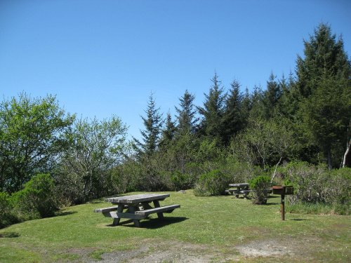A sunny outdoor area with picnic tables surrounded by greenery and trees under a clear blue sky.