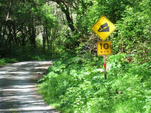 A winding road sign indicating a steep incline ahead with a speed limit of 10 miles per hour. Lush greenery surrounds the path.