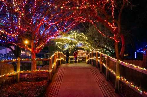 A pathway illuminated by colorful holiday lights, surrounded by trees, creating a festive atmosphere at night.