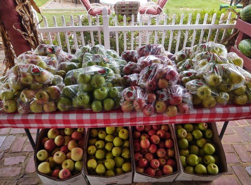 A table covered with bags of green and red apples, with some boxes of apples underneath, set in a garden area.