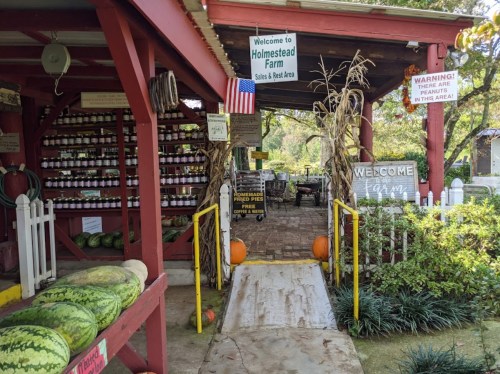Entrance to Holmestread Farm with pumpkins, watermelons, and signs welcoming visitors.