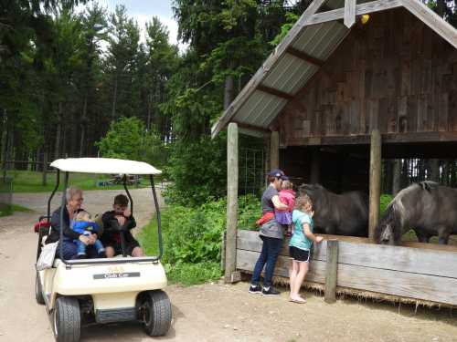 A family interacts with horses near a barn while others relax in a golf cart on a sunny day in a forested area.