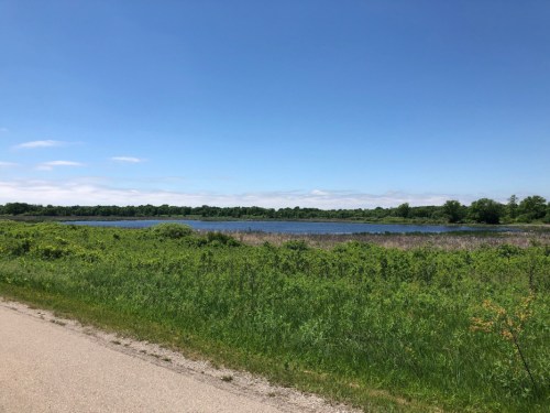 A serene landscape featuring a calm lake surrounded by lush greenery and a clear blue sky.