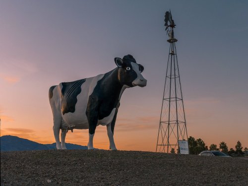 A large black-and-white cow statue stands beside a windmill at sunset, with mountains in the background.