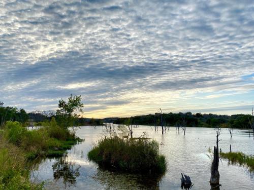 A serene lake scene with cloudy skies, trees, and grassy patches reflecting in the water.
