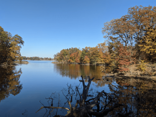 A serene lake surrounded by autumn trees, reflecting clear blue skies and colorful foliage.