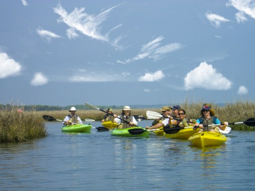 A group of people kayaking in colorful kayaks on a calm waterway surrounded by tall grass and a blue sky.