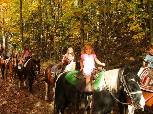 A group of children riding horses along a forest trail with vibrant autumn foliage.