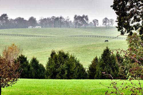 A serene landscape featuring rolling green hills, a wooden fence, and a lone horse in the distance under a cloudy sky.